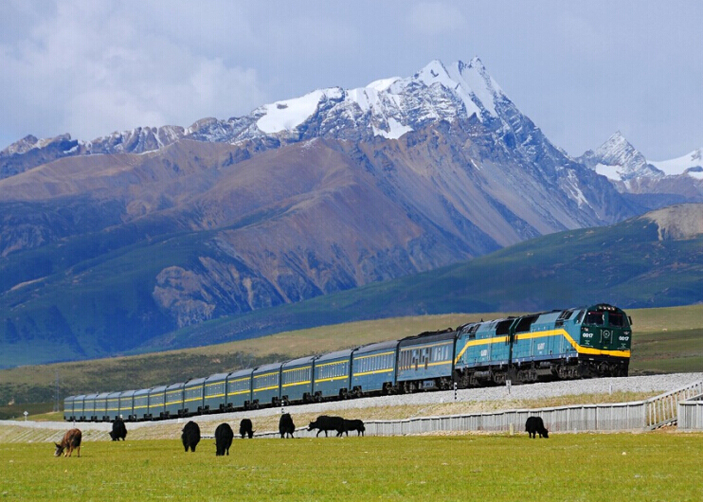 What to see  along Qinghai Tibet Railway