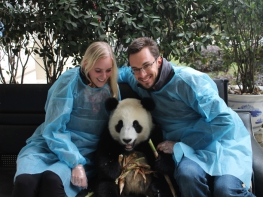 10 Days Golden Triangle Tour with Panda Visit 