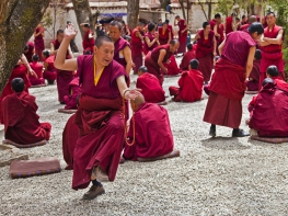 1 Day Lhasa Monastery Tour